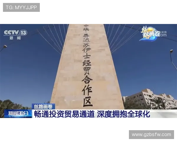 维罗纳重建之路：从现在起全员共同担当