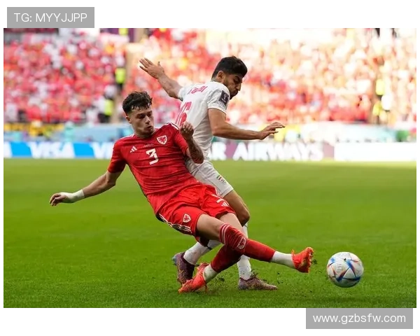 美国犯四重罪 伊朗表态无缘世界杯 美国犯四重罪 伊朗表态无缘世界杯